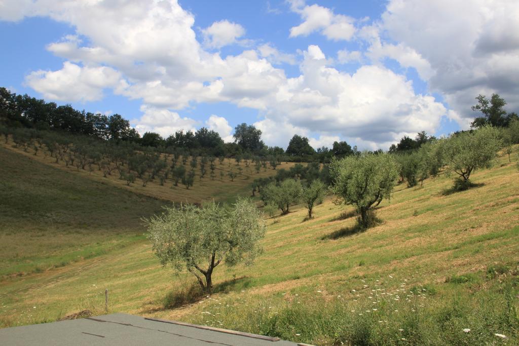 Agriturismo Le Buche Di Viesca Reggello Bagian luar foto